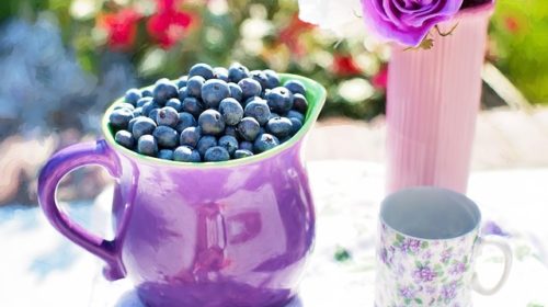 blueberries-864628_640